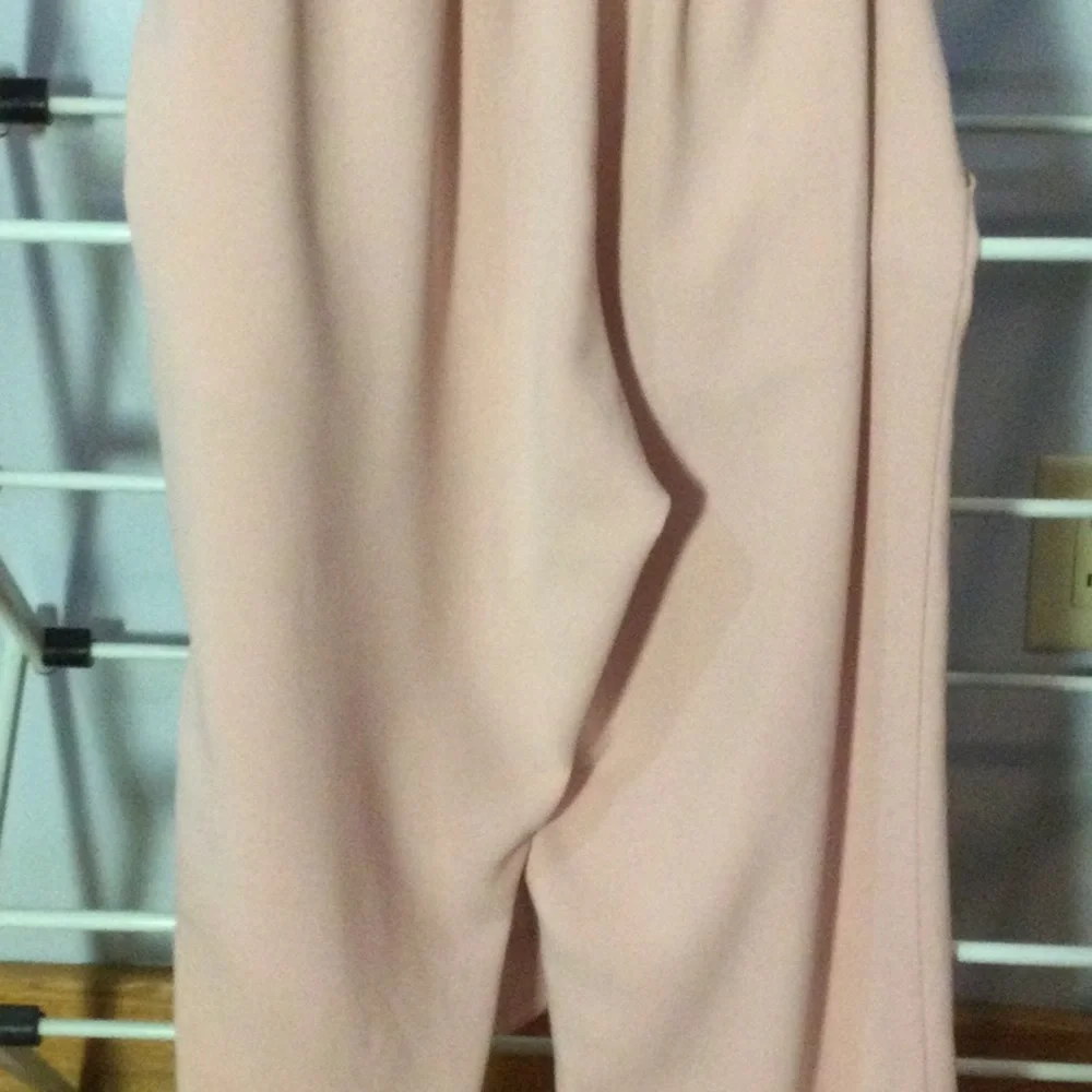 Clarte Pink Chiffon Pants - Picture 7 of 10